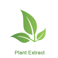 Plant Extract