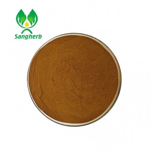 Top quality Gynostemma pentaphylla extract / 80 98 Gypenosides powder CAS 15588688 Sangherb Top quality Gynostemma pentaphylla extract / 80 98 Gypenosides powder CAS 15588688 Sangherb