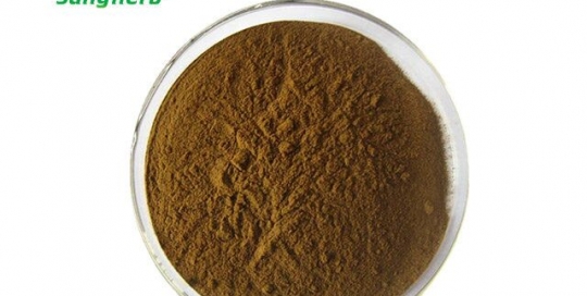 Black tea Extract