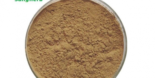 Cactus Extract