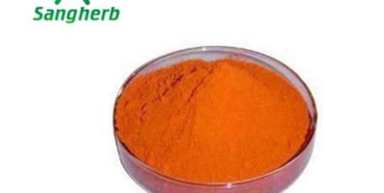 Carrot Powder