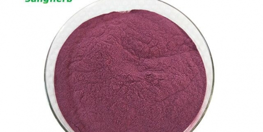 Dragon fruit powder