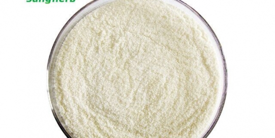 Durian powder