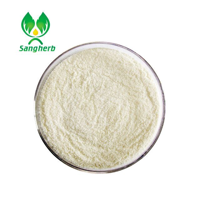 Durian powder