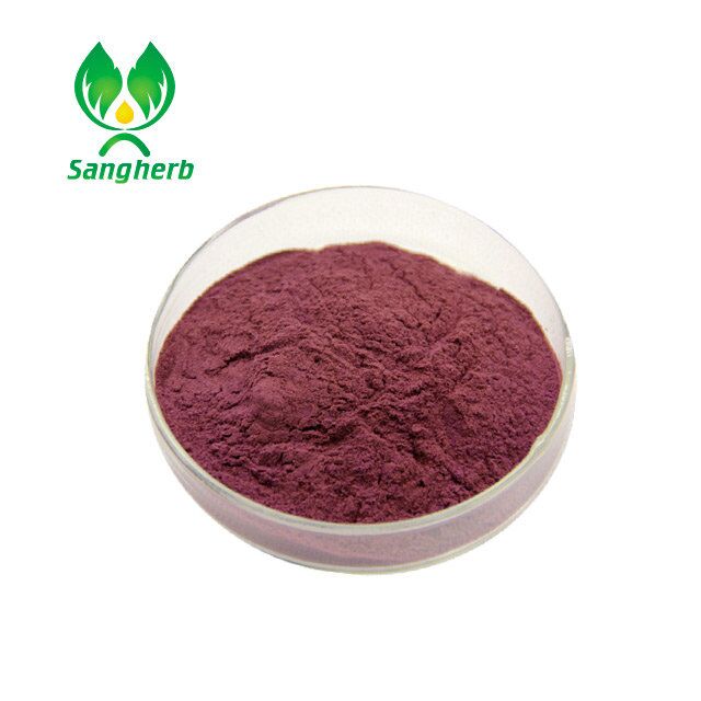 Elderberry Extract