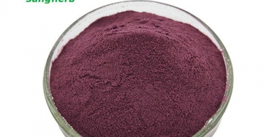 Mulberry fruit powder