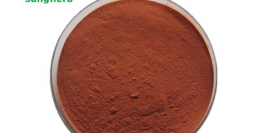 Pine Bark Extract 95% OPC; 45%~80% Polyphenols