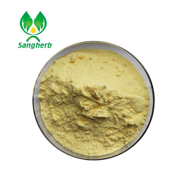 Quercetin Sophora Japonica Extract 95%, 98%