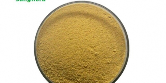 Sea-buckthorn powder