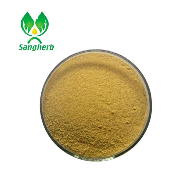 Sea-buckthorn powder