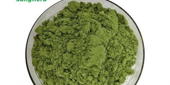 Spinach Powder