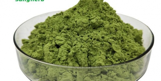 Wheatgrass Extract