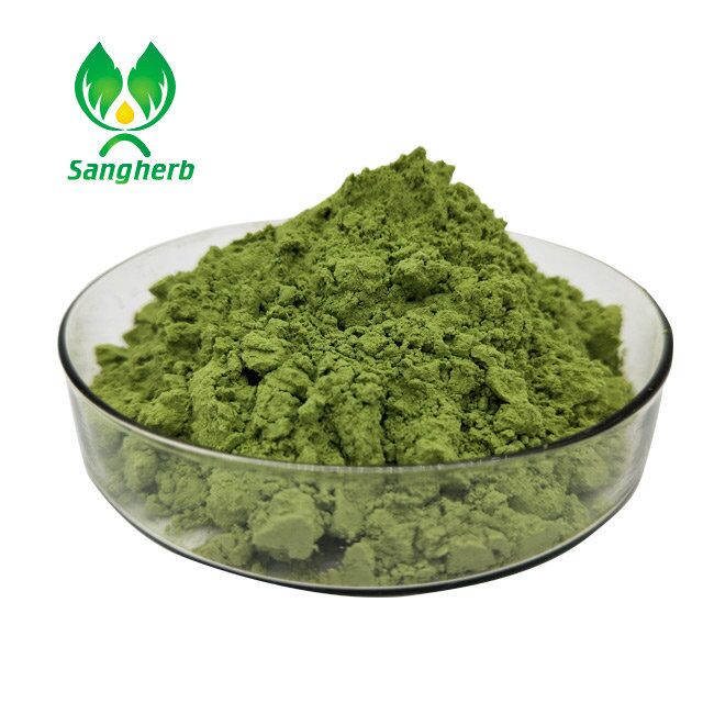 Wheatgrass Extract