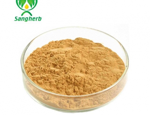 Gynostemma Extract