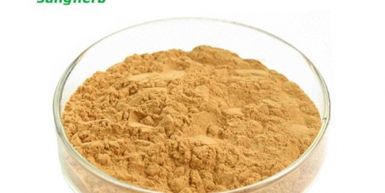 Gynostemma Extract