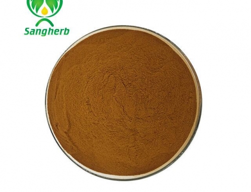 Huperzia Serrata Extract / Huperzine A 1%-5%