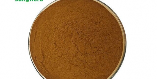 Huperzia Serrata Extract Huperzine A 1%-5%