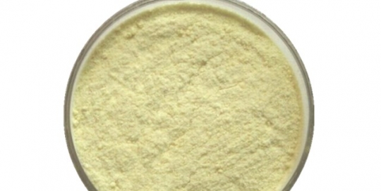 Kiwi powder