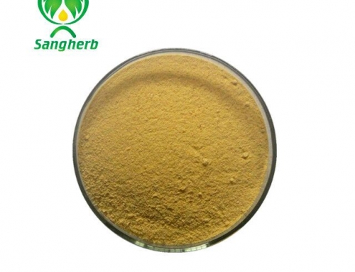 Loquat powder