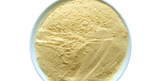 Mango powder