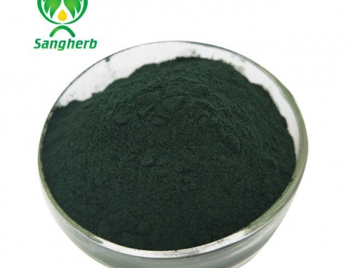 Spirulina