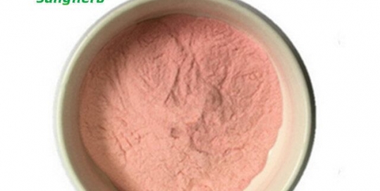 Watermelon powder