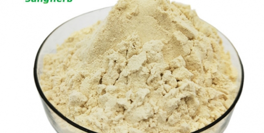 Lemon powder