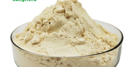 whey protein