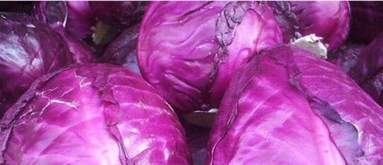 purple cabbage 