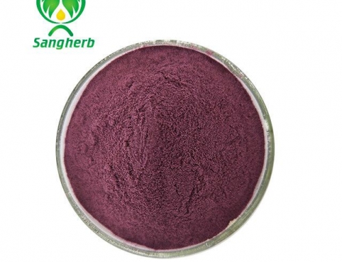 Red Beet Extract