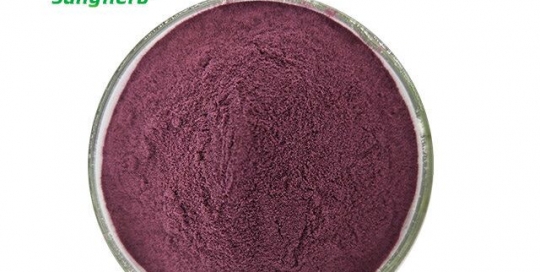 red beet powder