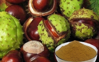 Horse Chestnut Extract