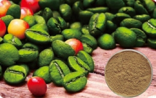 green coffee bean extract