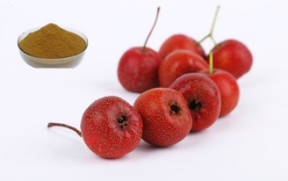 Hawthorn fruit powder