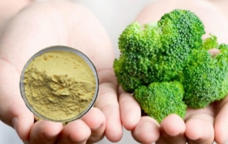 .1 2 3   Broccoli Extract Sulforaphane