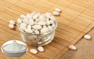 White Kidney Bean Extract